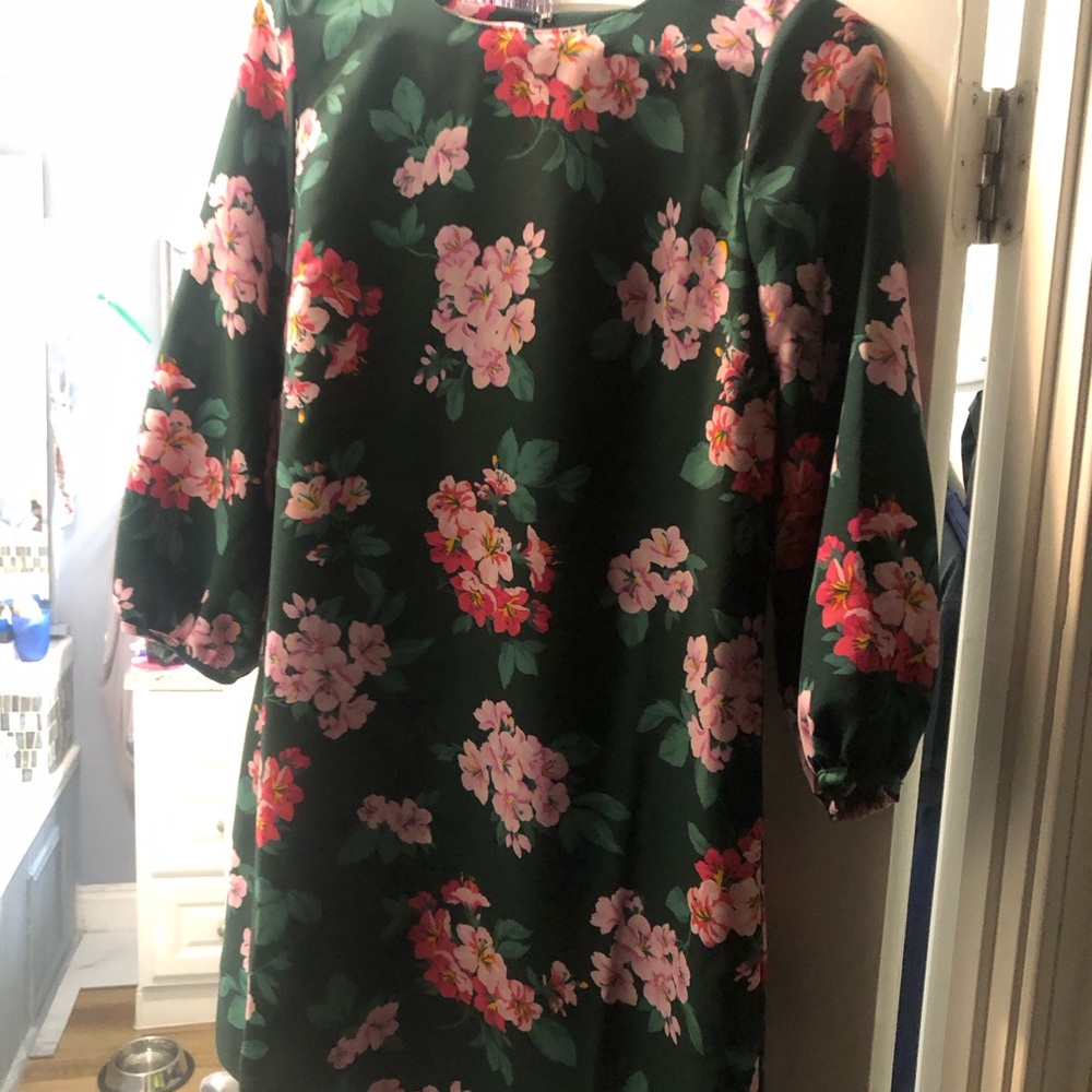 Anne Taylor dress